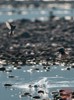 NEWS_67C32F890F19FF4FA05B8AF1ED294F6E.JPG