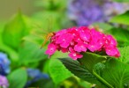 NEWS_F83F2208E34DD8CFDE3F134A79686935.JPG