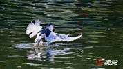 NEWS_4EF17724D3D04EA15F2A4782DA6C8A74.JPG