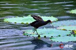 NEWS_91C80EC770EEA8CFC2930D2FBB53C842.JPG