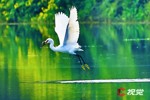 NEWS_173C68A9E82486BF8DC243DB82453ACA.JPG
