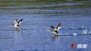 NEWS_D152861991B9C64AB5DDB0036AADEC5A.JPG