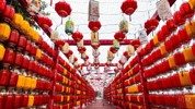雅安：挂灯笼亮彩灯 新春氛围感拉满