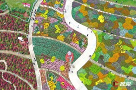 与秋同行收获美好，航拍垂直影像系列征集赛秋季主题发布