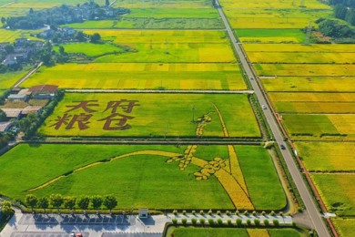 美图来袭，崇州32万亩水稻迎丰收